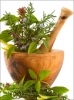 Plants